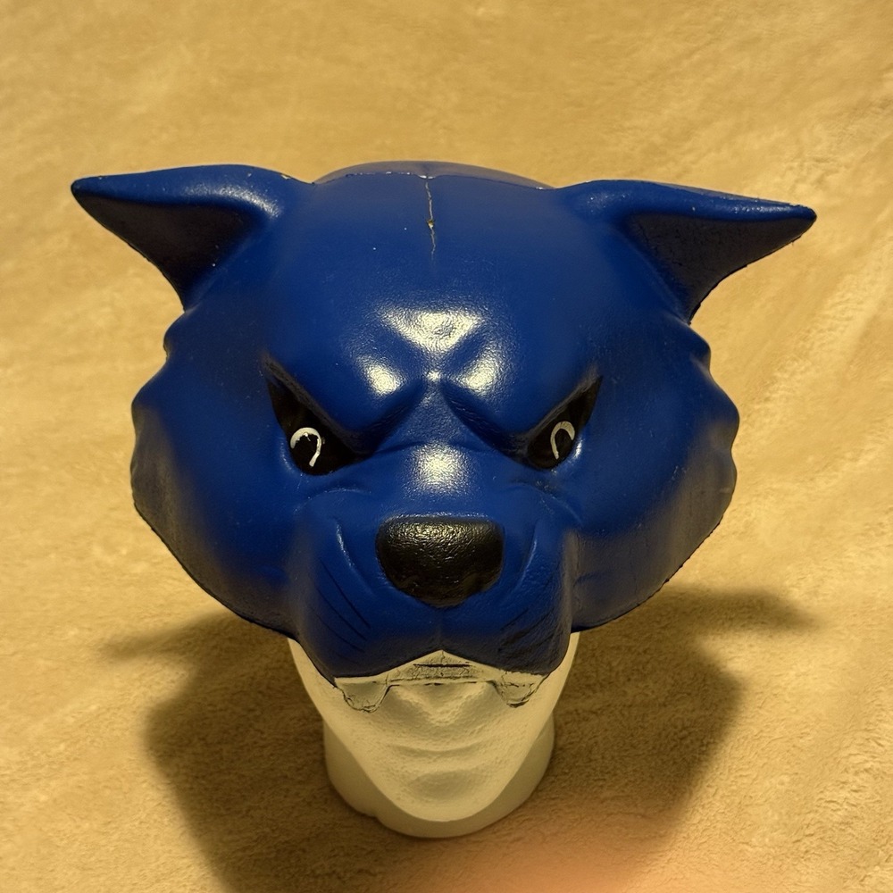 Foamheads Kentucky Wildcats Mascot Foam Head Hat NCAA